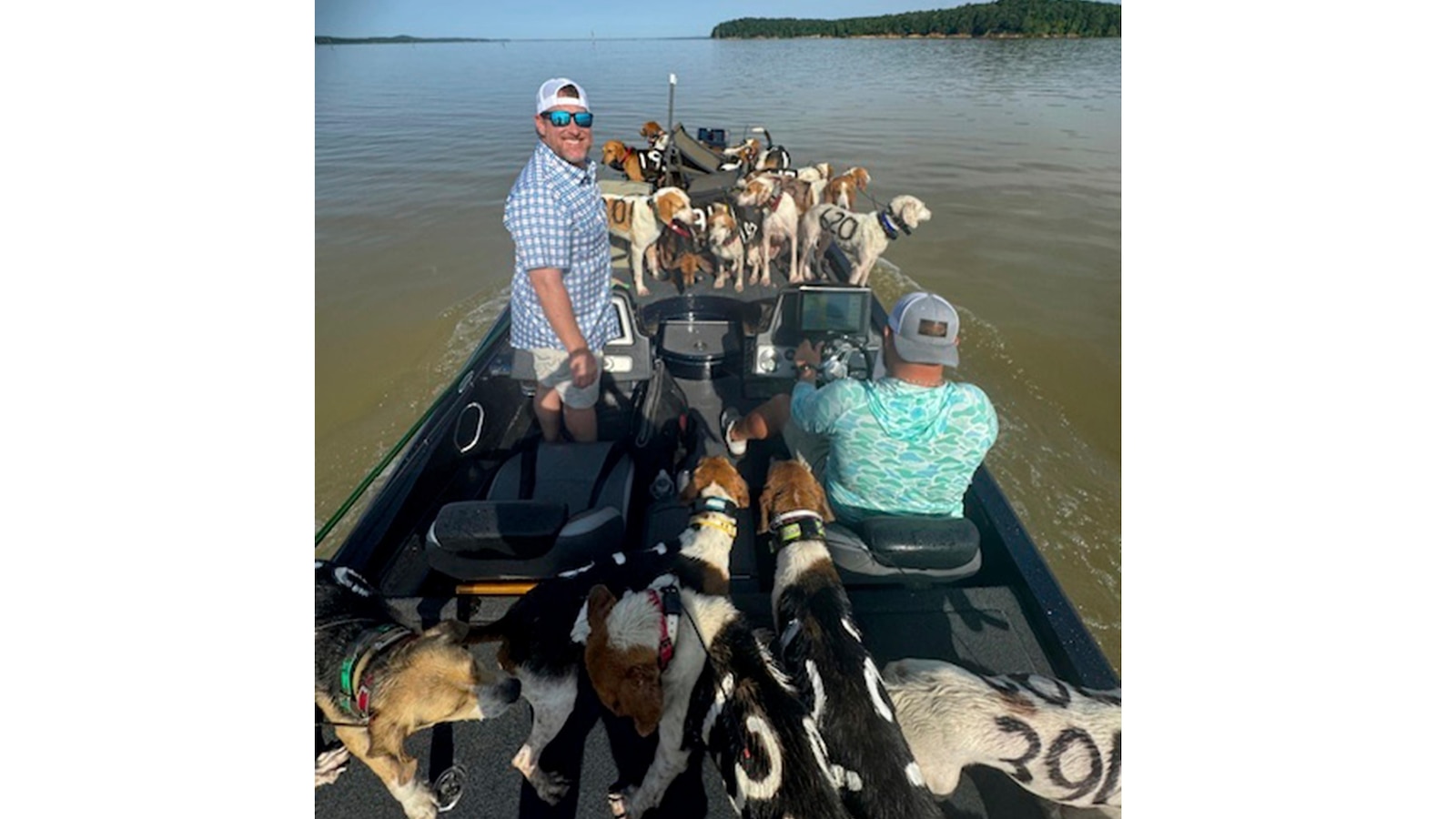 Fishermen Rescue 38 Dogs From Drowning in Mississippi Lake